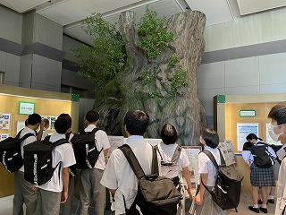 鹿児島県政展示コーナーに屋久島の縄文杉の模型がありました～本物の縄文杉を見に行きたいなぁ～