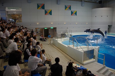 s-IMGP3902.jpg